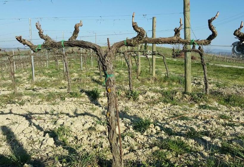 田舎風ホテル Agriturismo Podere Casa Al Vento