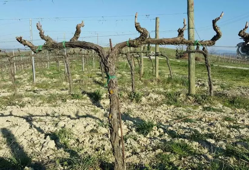 田舎風ホテル Agriturismo Podere Casa Al Vento