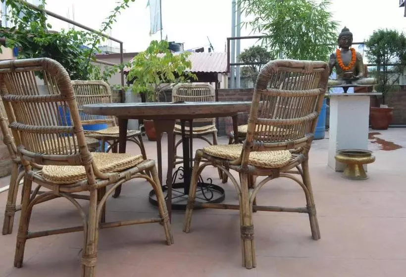 Newa Home