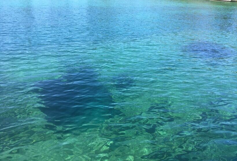Pensjonat The Robin S Nest Tobermory