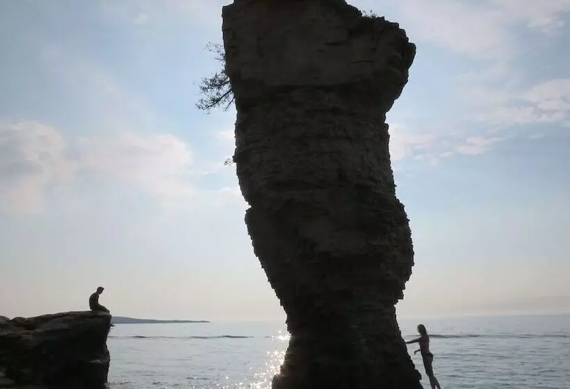 Majatalo The Robin S Nest Tobermory