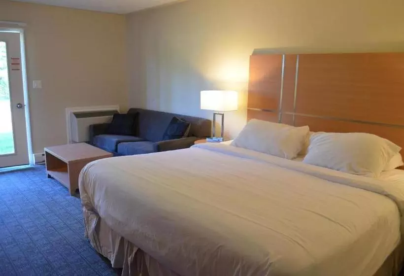 Majatalo The Robin S Nest Tobermory