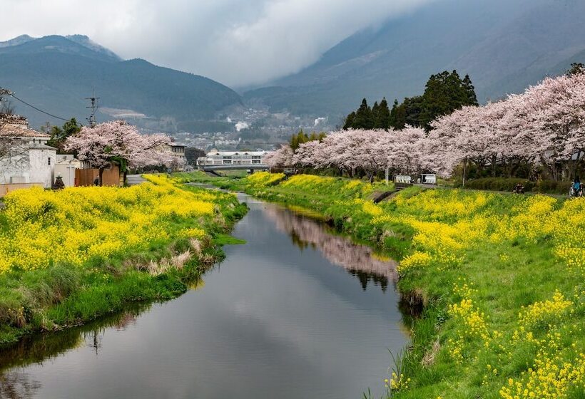 Ryokan Yufuin Lamp No Yado