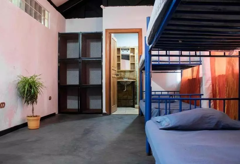 ユースホステル Jaco Inn