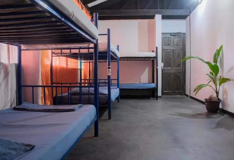 ユースホステル Jaco Inn