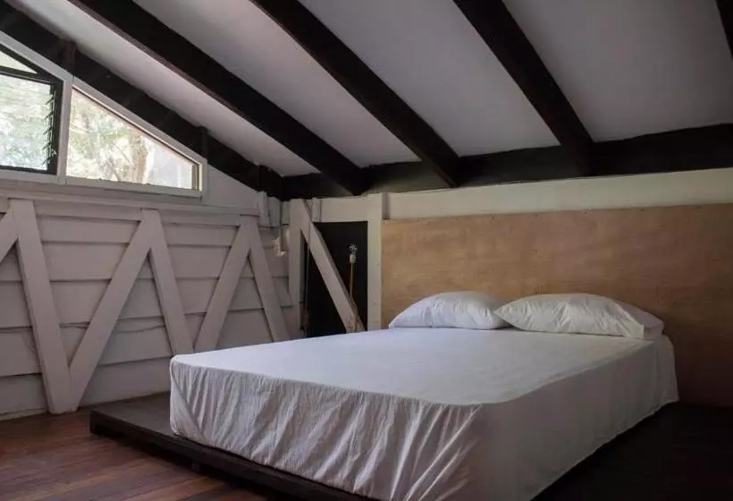 ユースホステル Jaco Inn