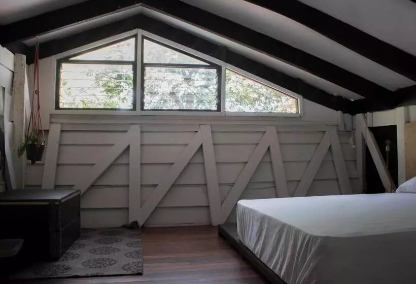 ユースホステル Jaco Inn