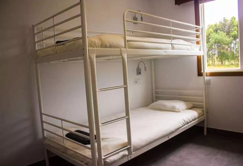 La Wave Surf Coruña   Hostel