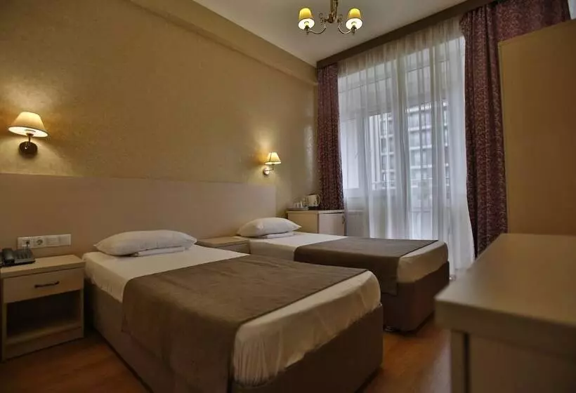 Sea Star Apart Adler