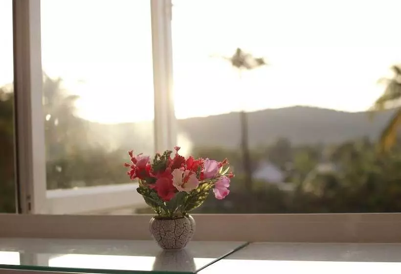 Purple Place Homestay  Hostel