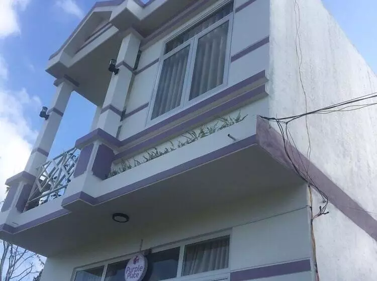 Purple Place Homestay  Hostel