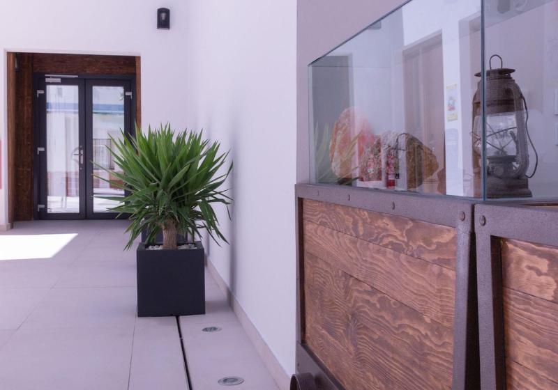 호텔 La Mina Hostal Boutique