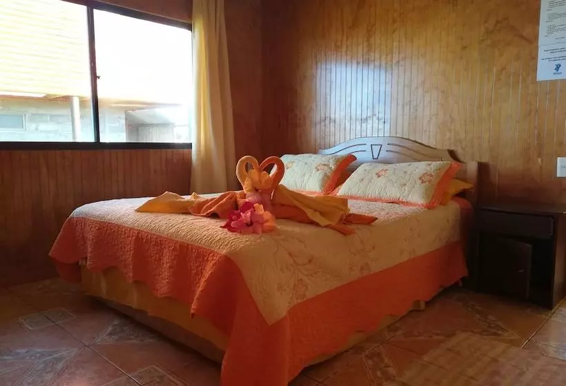 Hostel Camping Mihinoa