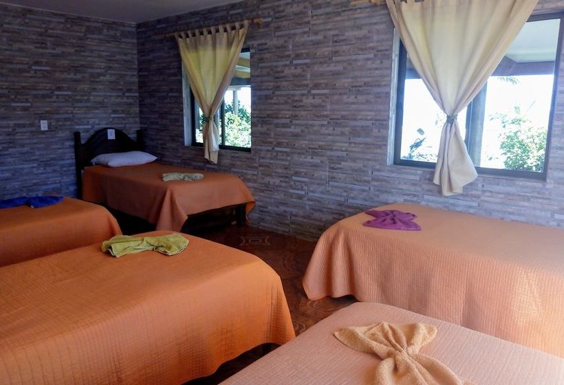 Hostel Camping Mihinoa