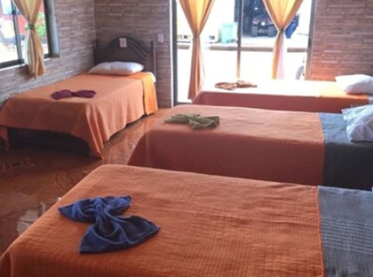 Hostel Camping Mihinoa