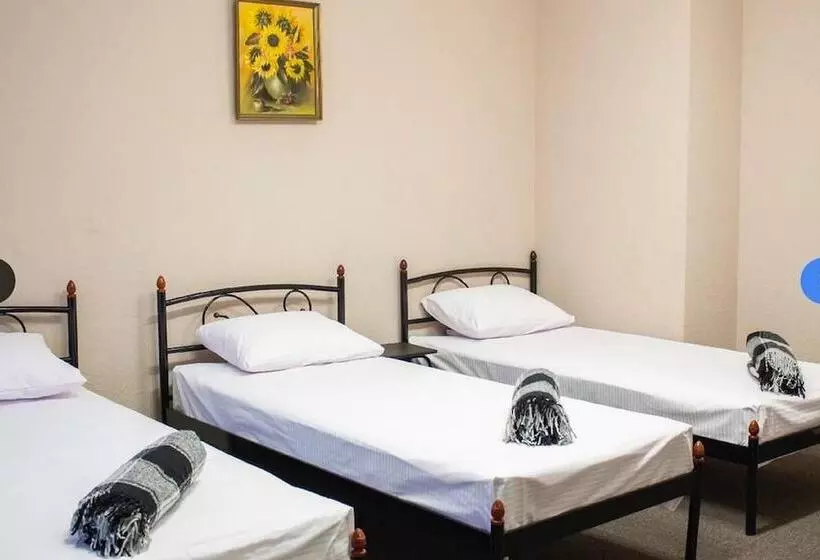 Hostel Koleso