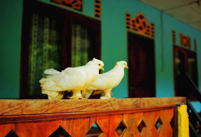 بنسيون Bugis Inn