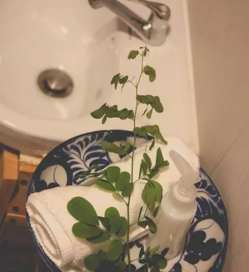 ペンション Dahlia Guesthouse