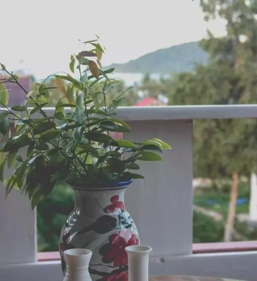 ペンション Dahlia Guesthouse