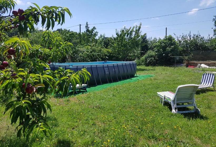 膳宿费 Mirador De Rouris