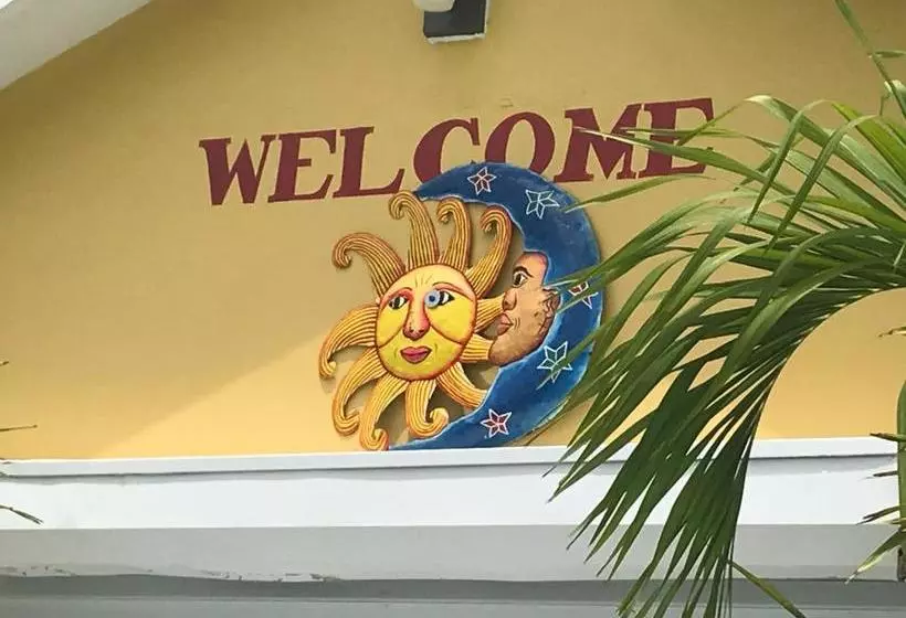 Sunflower Oasis