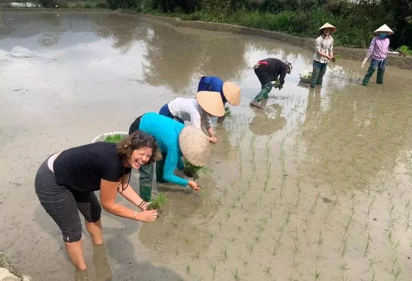 Bed and Breakfast Be S Home & Tours