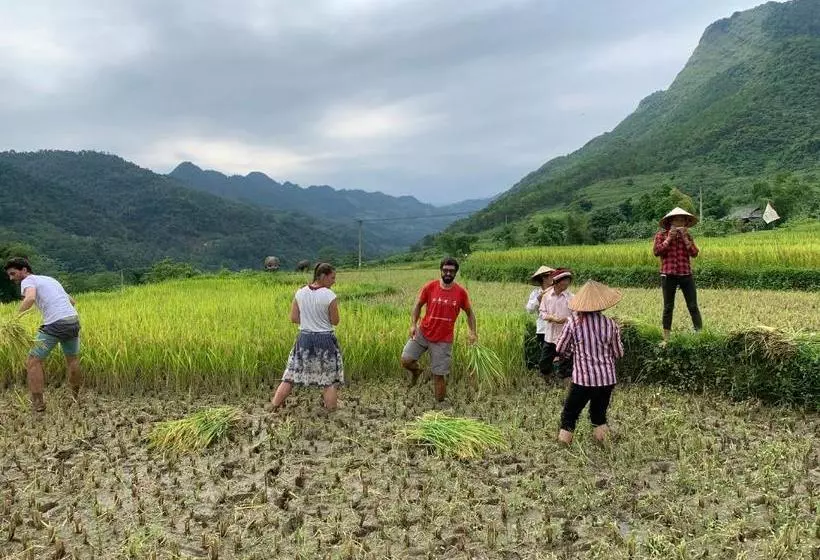 Bed and Breakfast Be S Home & Tours