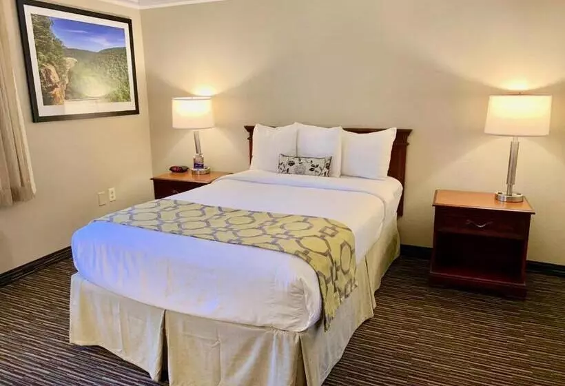 هتل Baymont By Wyndham Texarkana