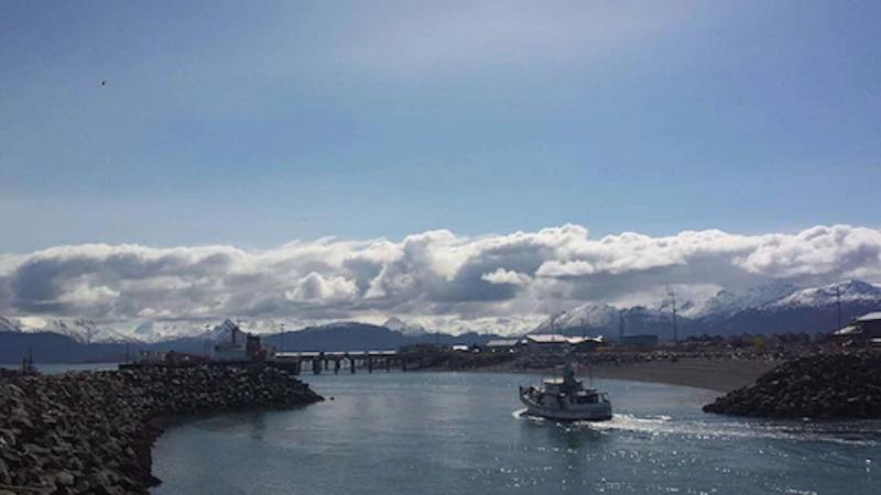 فندق Beluga Lake Lodge