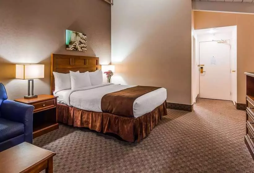 בית מלון כפרי Best Western Adams Inn Quincy Boston