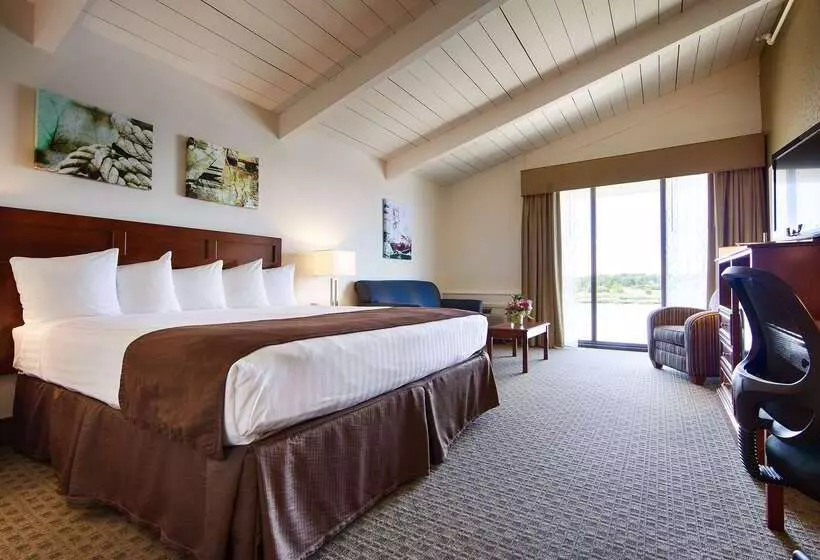 בית מלון כפרי Best Western Adams Inn Quincy Boston