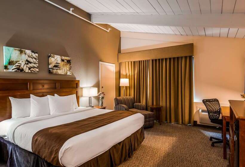 هتل Best Western Adams Inn Quincy Boston