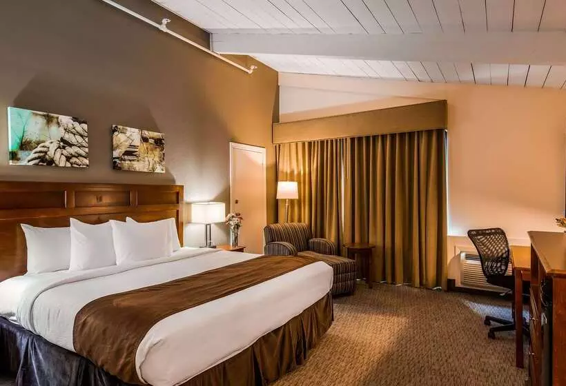 בית מלון כפרי Best Western Adams Inn Quincy Boston
