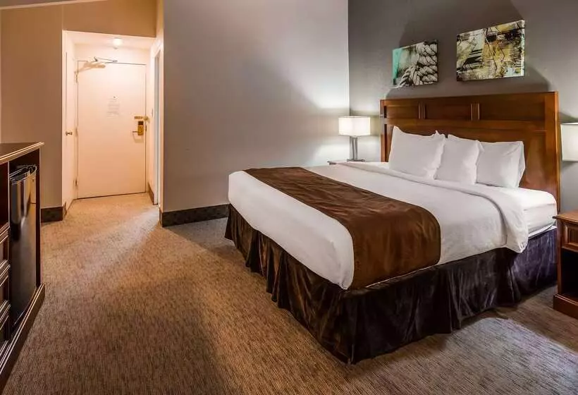 בית מלון כפרי Best Western Adams Inn Quincy Boston