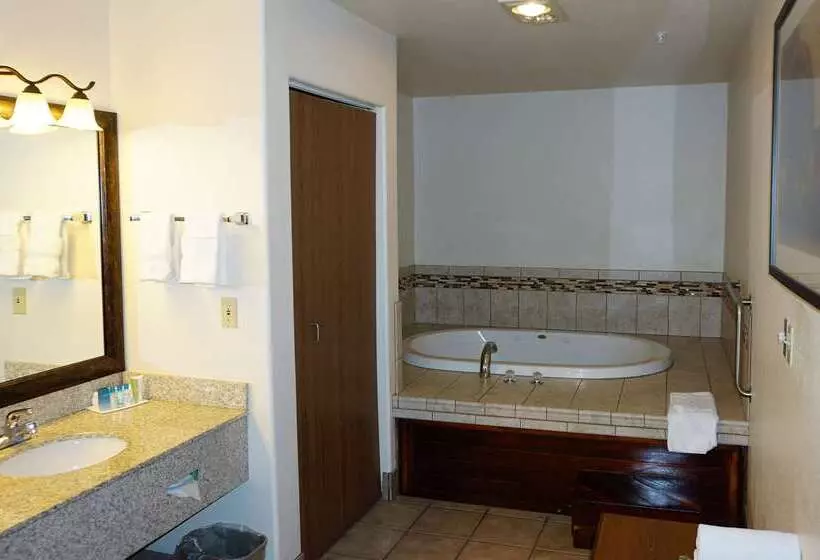 호텔 Best Western Grande River Inn & Suites