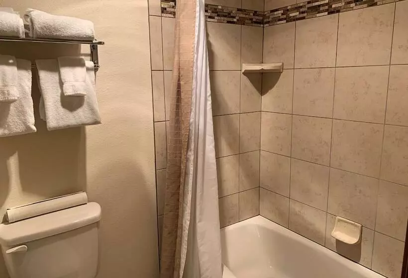 호텔 Best Western Grande River Inn & Suites