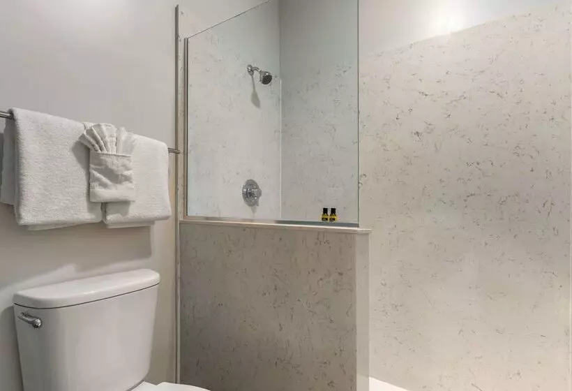 酒店 Best Western Plus All Suites Inn