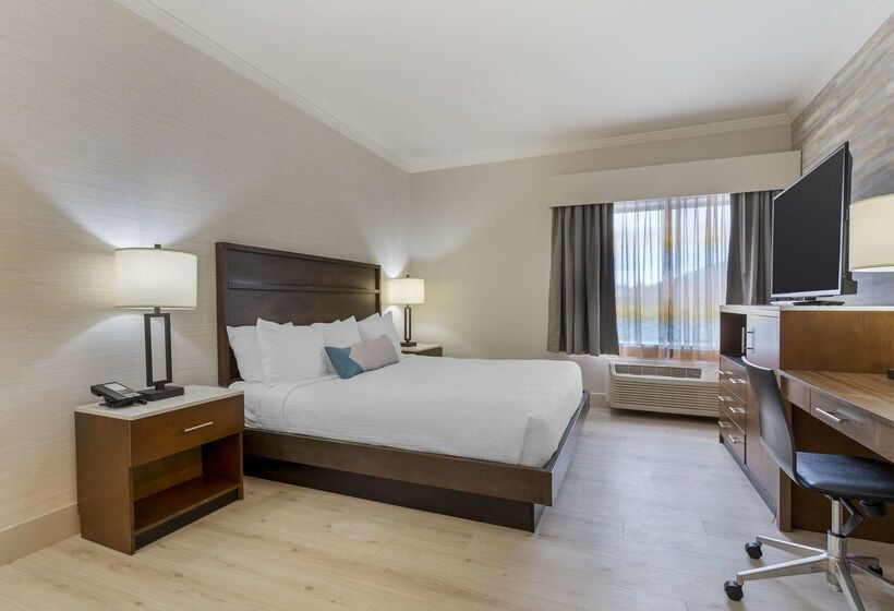 فندق Best Western Plus All Suites Inn