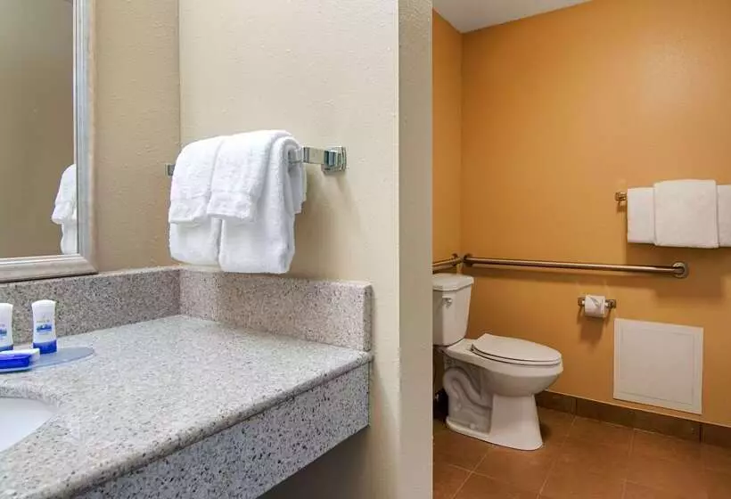 هتل Best Western Plus Atlanta Airporteast