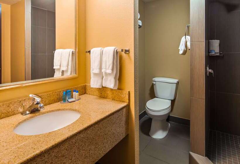 בית מלון כפרי Best Western Plus Atlanta Airporteast