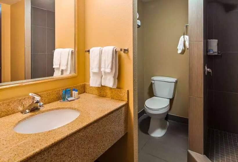 هتل Best Western Plus Atlanta Airporteast