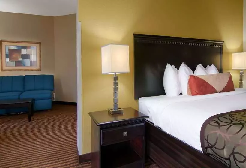 هتل Best Western Plus Atlanta Airporteast