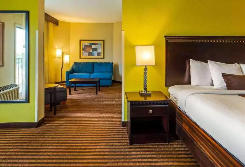 هتل Best Western Plus Atlanta Airporteast