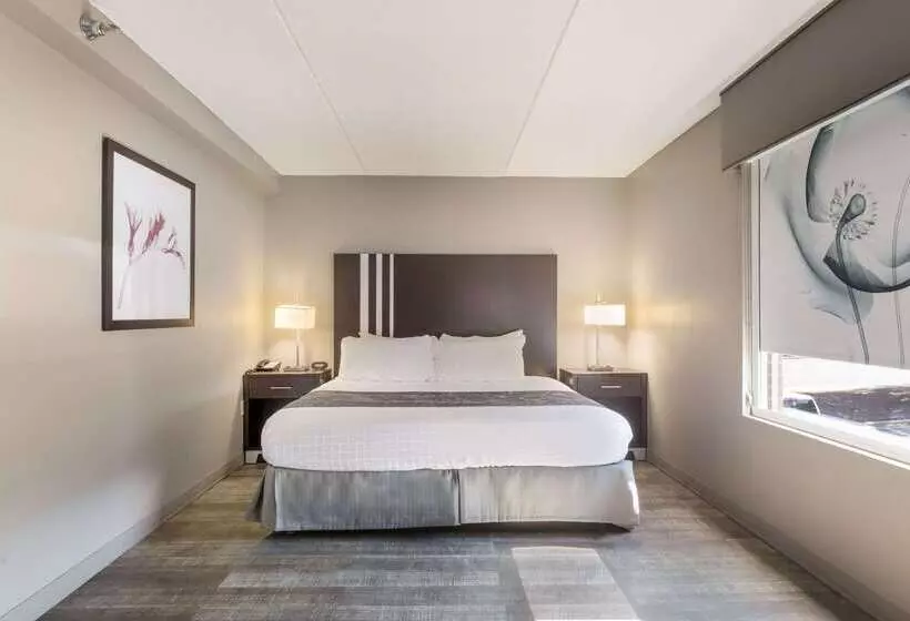 酒店 Clarion Pointe Greensboro Airport