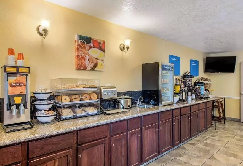 酒店 Comfort Inn Mount Shasta Area