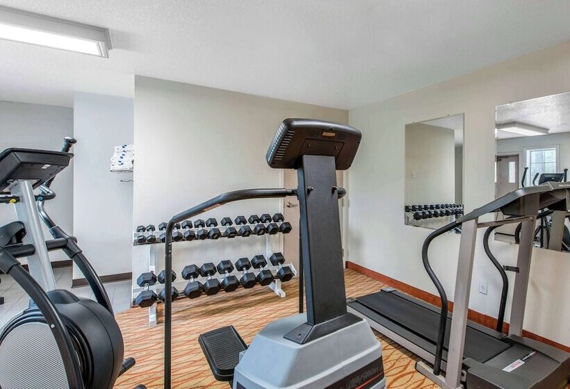 فندق Comfort Inn Mount Shasta Area