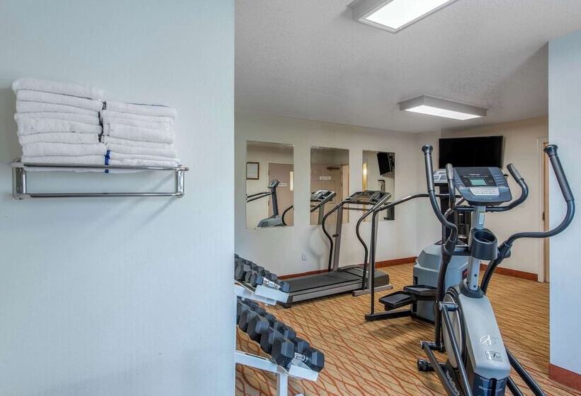 فندق Comfort Inn Mount Shasta Area