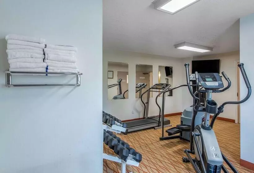 酒店 Comfort Inn Mount Shasta Area