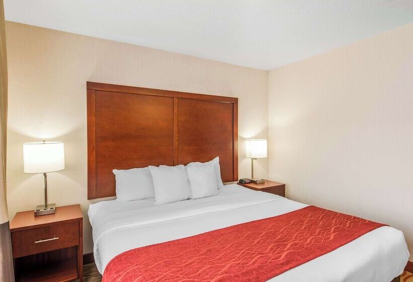 فندق Comfort Inn Mount Shasta Area