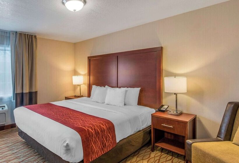 فندق Comfort Inn Mount Shasta Area